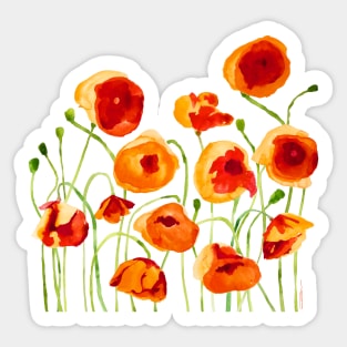 Poppy Sunrise Sticker